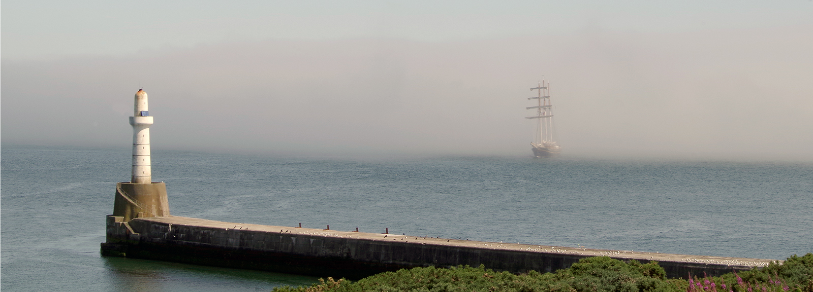 Out of the Mist by Pat Copner